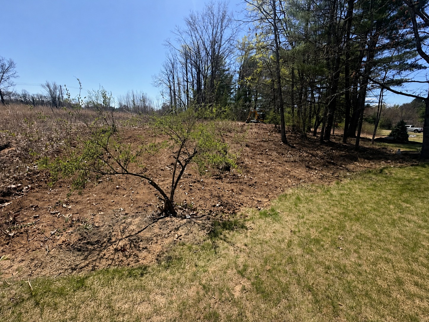 Property after land clearing